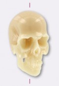 Tête de mort en résine 40x24 mm ivoire x1